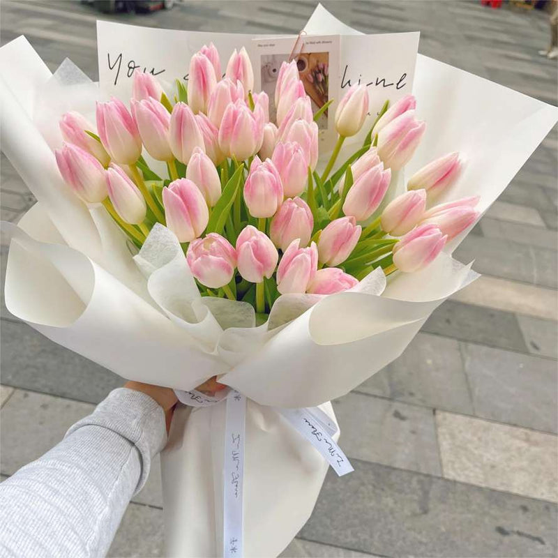 Tulip Delight