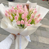 Tulip Delight