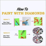 F&S Diamond Painting Kit Betta Fish