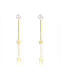Star Pattern Long Earrings