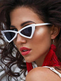 Triangle Cat Eye Frame Sunglasses