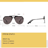 Large Frame Sunglasses