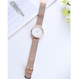 Simple Dial Mesh Strap Women's Watch