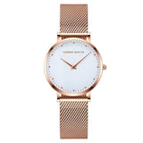 Simple Dial Mesh Strap Women's Watch