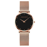 Simple Dial Mesh Strap Women's Watch