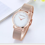 Simple Dial Mesh Strap Women's Watch