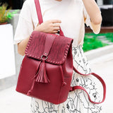 Fashion Tassel Women's Backpack
