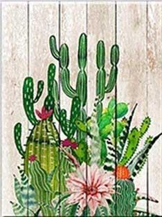 F&S Diamond Painting Store Cactus Desert Plant