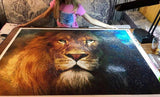 F&S Diamond Painting Store Beautiful Golden Lion King