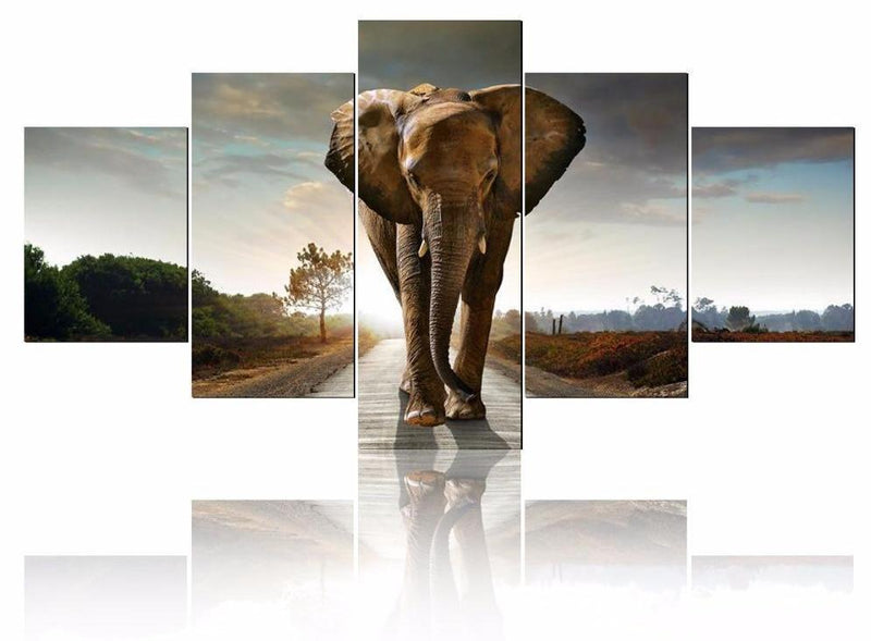 F&S Diamond Painting Store 5 Li¨¨ge Elephant