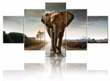 F&S Diamond Painting Store 5 Li¨¨ge Elephant