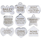 Personalized Stainless Steel Pet Id Tag