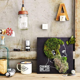DIY Moss Decorative Painting