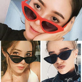 New Arrival Cat's Eye Pattern Sunglasses