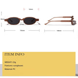 Oval Frame Small Sunglasses