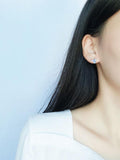 Elk Pattern Silver Earrings