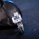 Geometric ring AAA zircon
