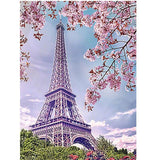 F&S Diamond Painting Store Flower And Eiffel Tower