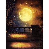 F&S Diamond Painting Store Bright Moon
