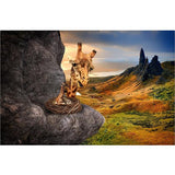 F&S Diamond Painting Store Giraffe Head