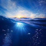 F&S Diamond Painting Store Great Blue Ocean