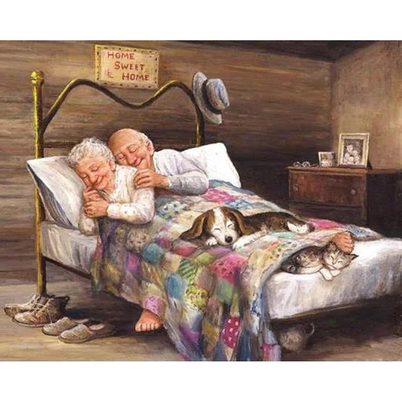 F&S Diamond Painting Store Old Couple Is Sleeping