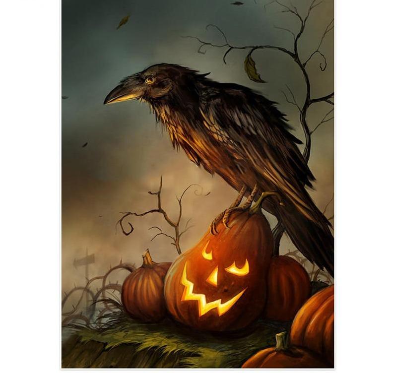 F&S Diamond Painting Store Halloween Crow