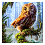 F&S Diamond Painting Store Tawny owl