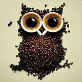 F&S Diamond Painting Store Coffee beans Owl
