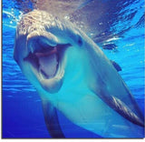 F&S Diamond Painting Store Dolphin in the Water