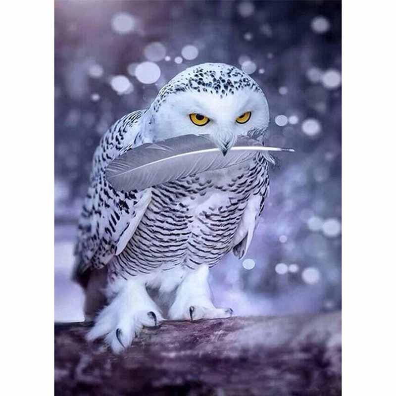 F&S Diamond Painting Store Snowy owl