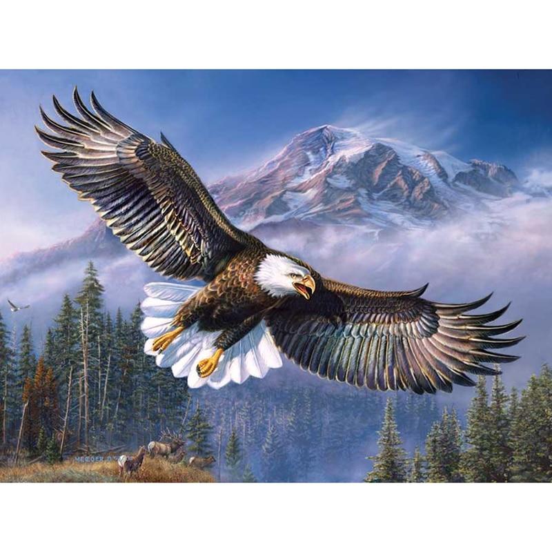 F&S Diamond Painting Store Flying eagle