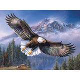 F&S Diamond Painting Store Flying eagle