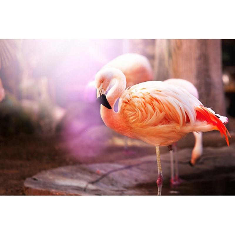 F&S Diamond Painting Store Flamingo Resting