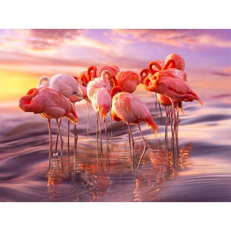 F&S Diamond Painting Store Flamingo Group