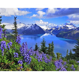 F&S Diamond Painting Store Snow mountain