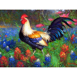 F&S Diamond Painting Store A Large Hen In The Garden