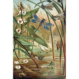 F&S Diamond Painting Store Blue Dragonfly