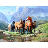 F&S Diamond Painting Store Horse On The Grass