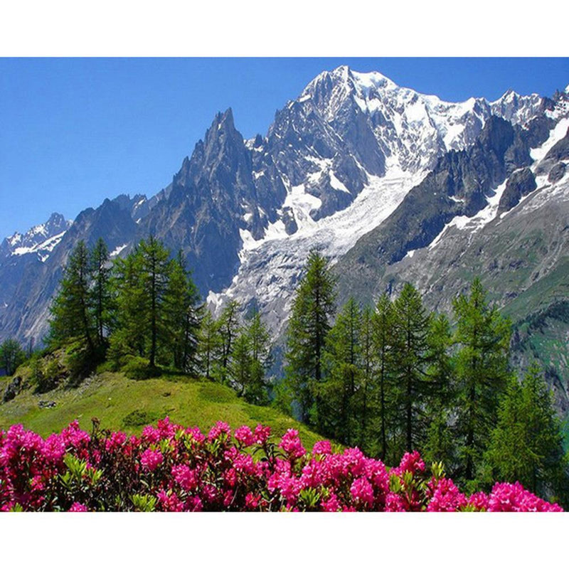 F&S Diamond Painting Store Mountain landscape
