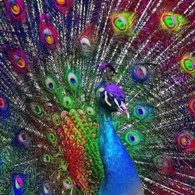 F&S Diamond Painting Store Peacock feather