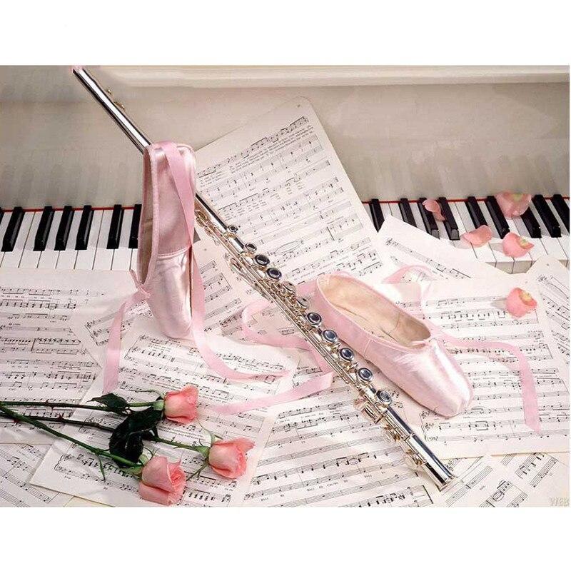 F&S Diamond Painting Store Pink Shoes Rose Sheet Music