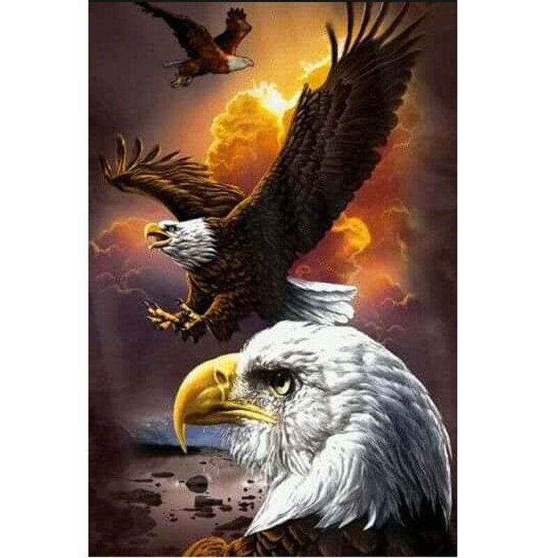 F&S Diamond Painting Store Soaring Eagle