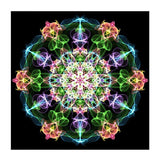 F&S Diamond Painting Store Bloem Mandala