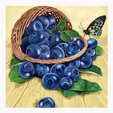 F&S Diamond Painting Store Fruit Blueberry Kitchen