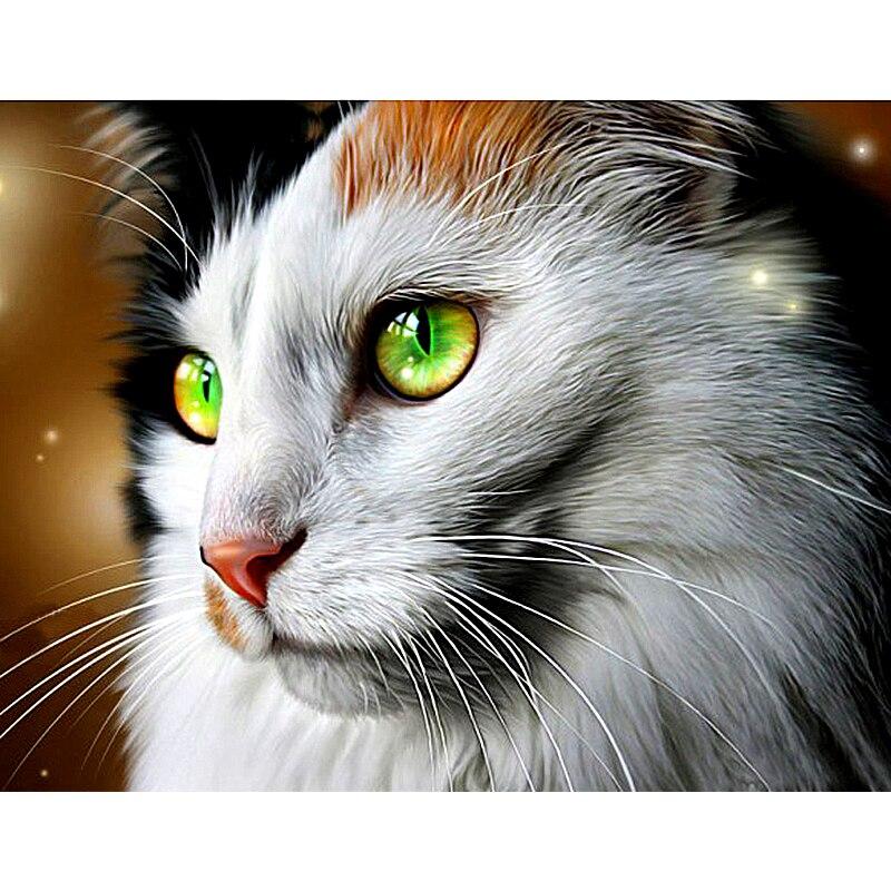 F&S Diamond Painting Store Cat with Green Eyes