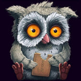 F&S Diamond Painting Store Big Eyes Owl
