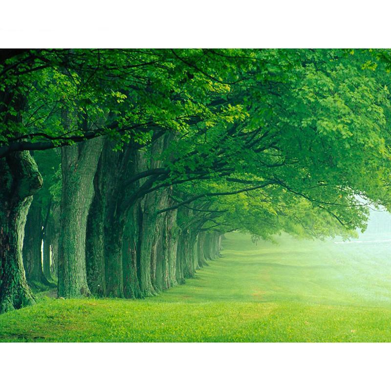 F&S Diamond Painting Store Natural landscape