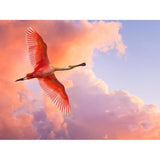 F&S Diamond Painting Store Flamingo Flies In The Sky