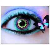 F&S Diamond Painting Store Eyes And Butterflies